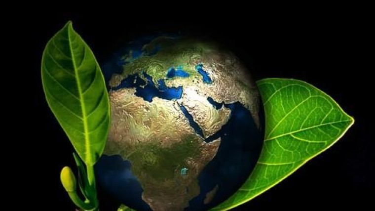 Echt groene IT vereist strategische keuzes